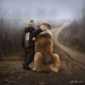 http://cs2.pikabu.ru/post_img2/2014/01/21/7/1390297262_1942033177.jpg
