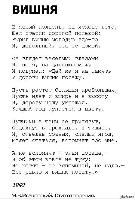 Сочинить стих о берёзе Сочинить стих о берёзе