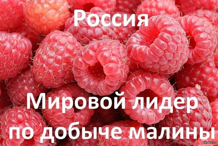 Анекдот как в малине Анекдот как в малине