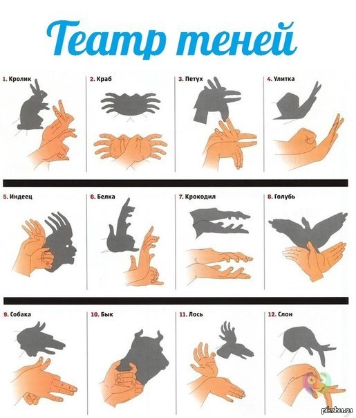 Как сделать паука из тени Как сделать паука из тени