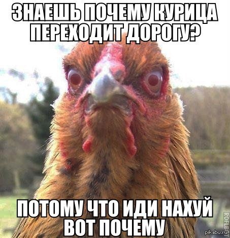 ��� ������)