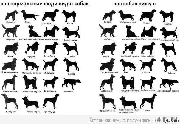 ��� ������ ����� �������� � ��������?