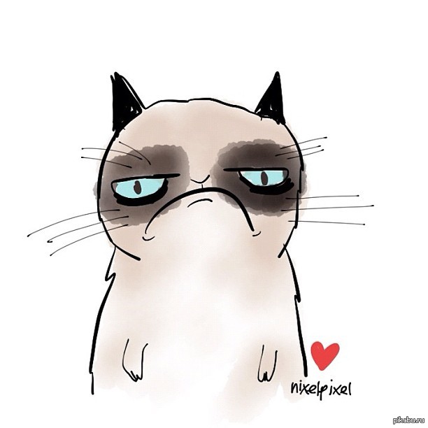  ,  ,   !  ! ,      ,  Grumpy Cat,        . . 