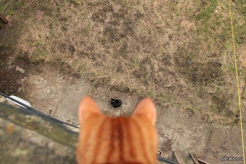 Выходи гулять!