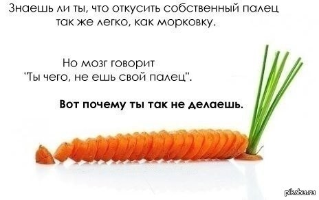 Насколько проще. Съешь морковку. Морковка Мем. Морковка Похрустим.
