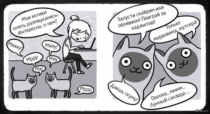 what does the cat say?