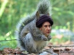Professor Quirrel the Squirrel 