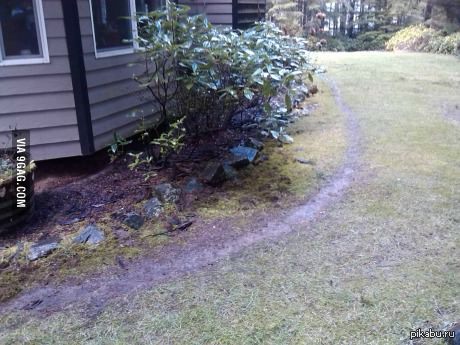 ������ ���� ������ ������ ���� ������ ����, ����� � ������� �����