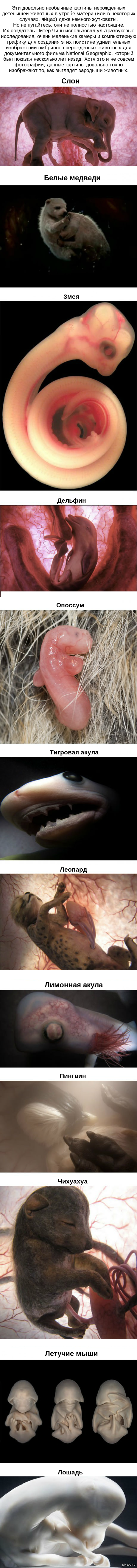 12    . ...   