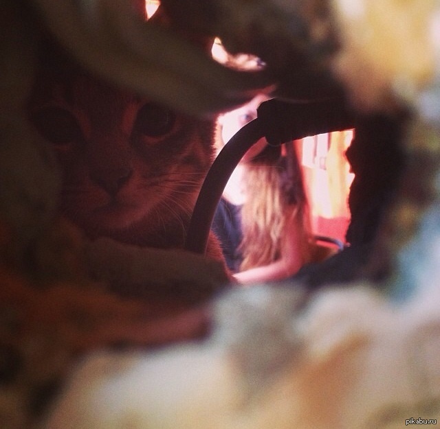 ������� ������ ����