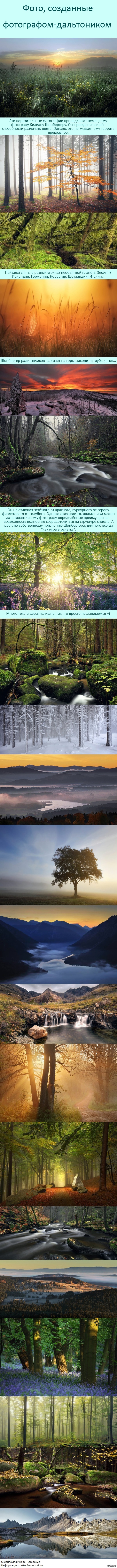 Фотограф-дальтоник