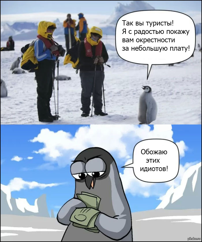 Пингвин | Пикабу