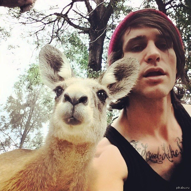 ���������)