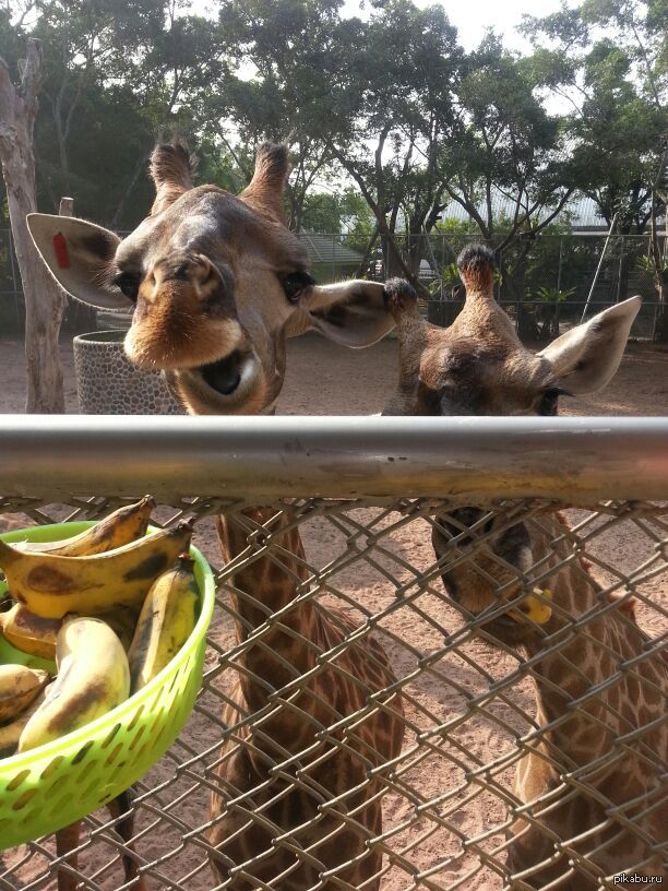 ��������� ������ ������� ������ )))