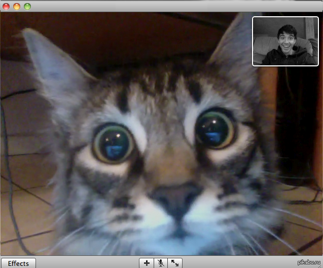 Video Chat Sights