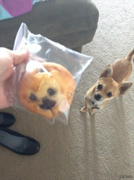 &amp;quot;���� � ��� ������&amp;quot;