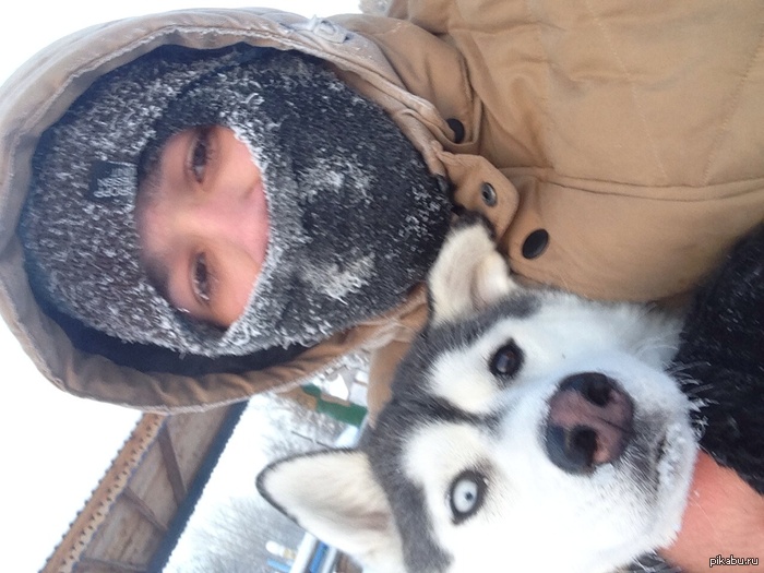 -40. Hmao. Who didn't have enough frost there?! Now go for a walk with my dog! - Husky, freezing, Cold, KhMAO