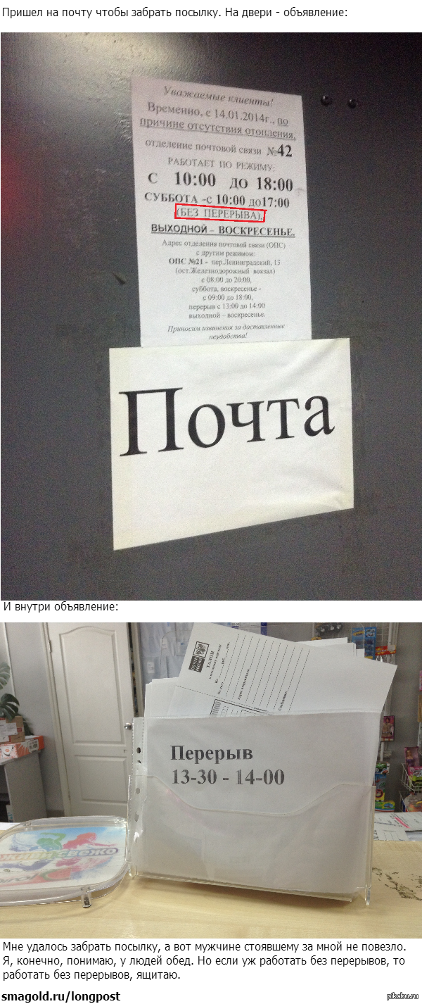На злобу дня