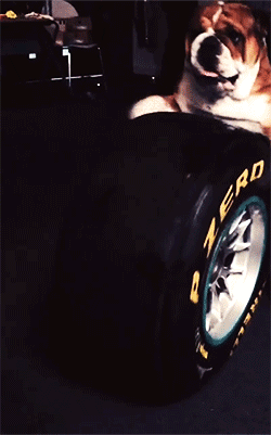 ����� ��������� �������� ������ ��������� �� ���-�����