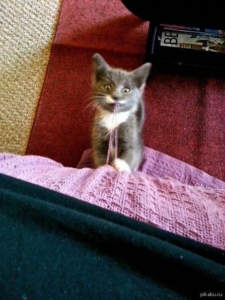 Упс, затяяяяяжечка ;)