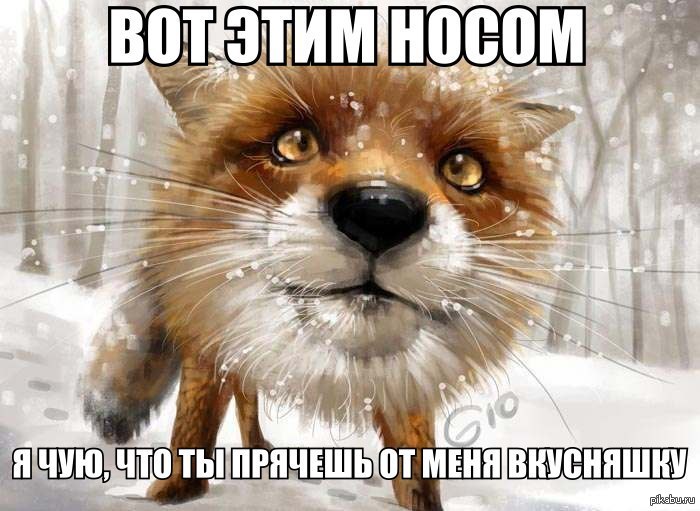 Носы такие носы) | Пикабу