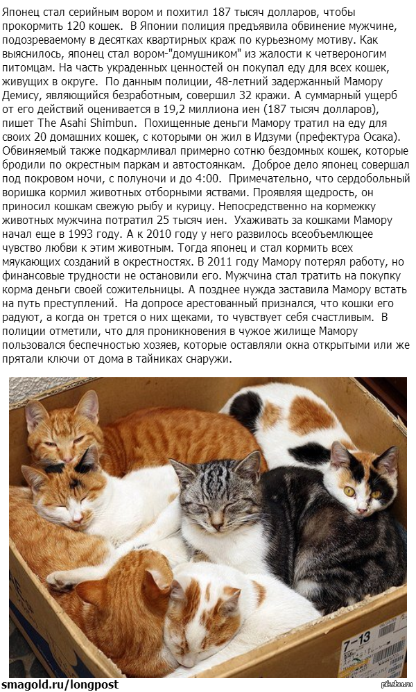 ������� ��� �����