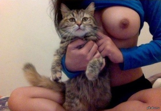 ideally) - NSFW, cat, Breast, Strawberry