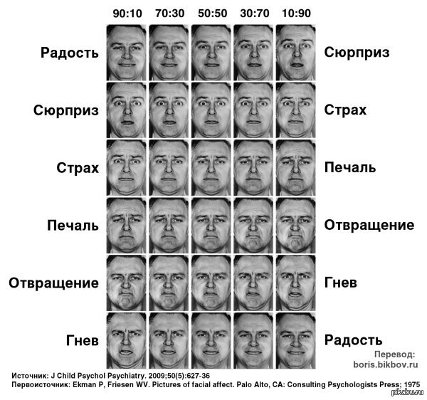 Физиогномика лица в картинках