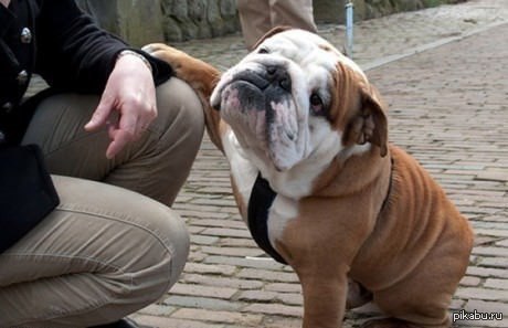 �� ����� � �������,���.