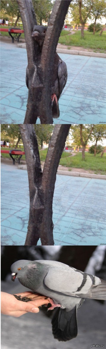 �������� � ����.