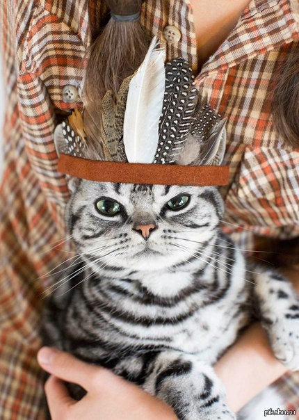 ��������� ������.