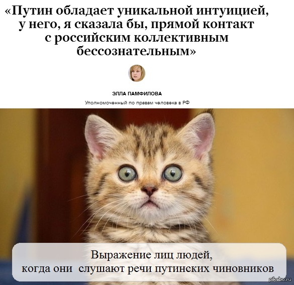 ���� �����
