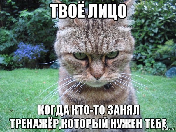 � ��� ������