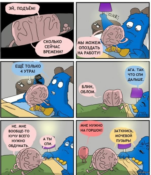 �������� �����