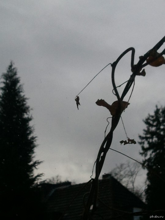 � ���� ��� ����� ����� ���������