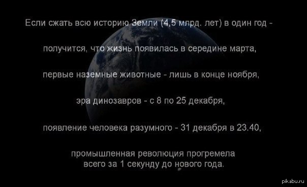 �������� �������� �� ���� ���