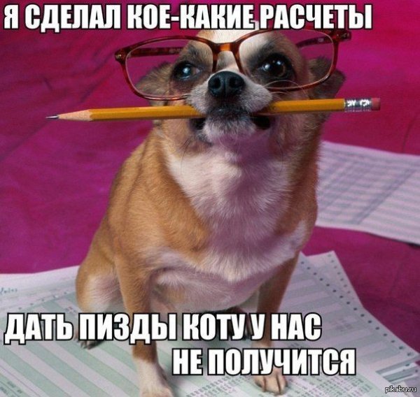 ������ ��������