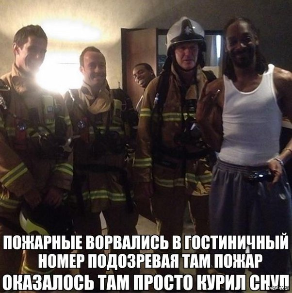 Снуп :) | Пикабу