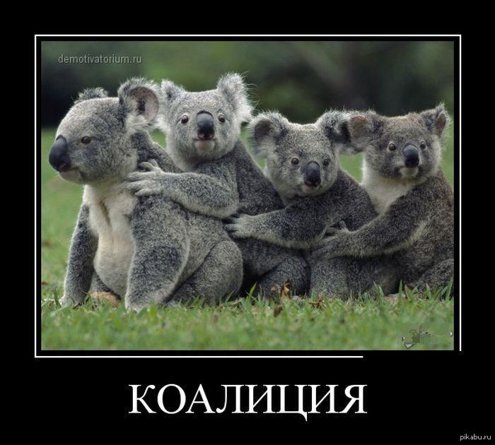 Летка-енка.