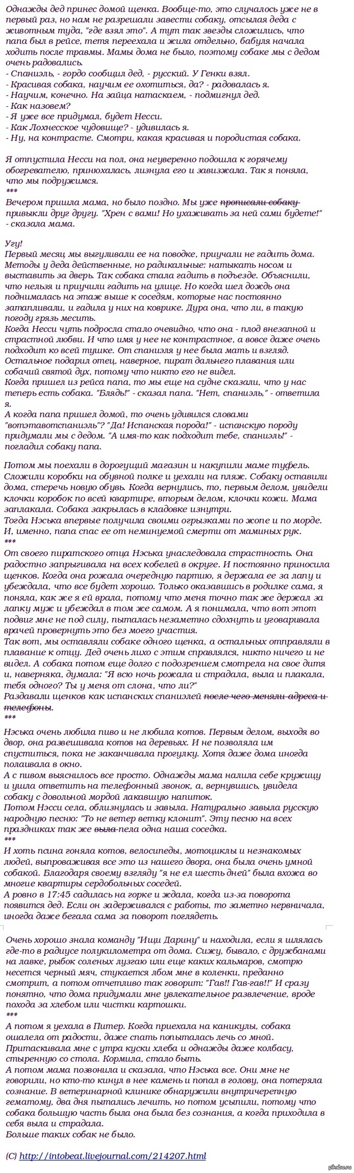 Рассказ: истории из жизни, советы, новости, юмор и картинки — Все посты,  страница 71 | Пикабу