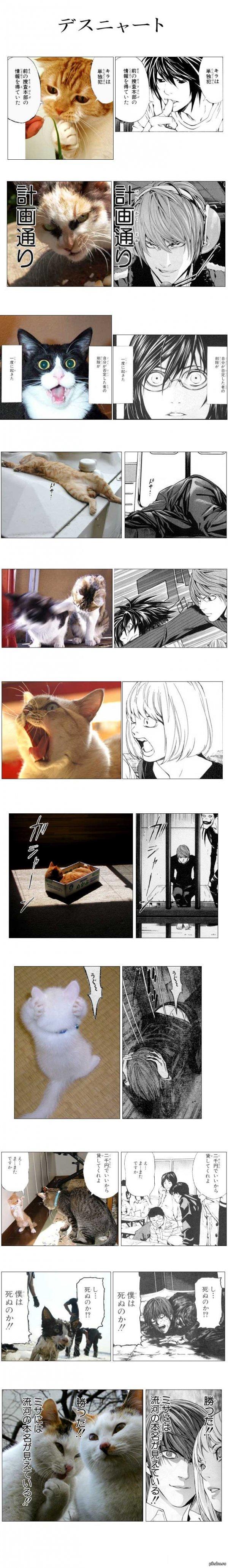 ���� ������ Death Note