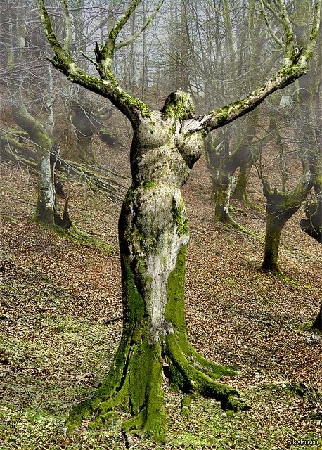 Мать природа