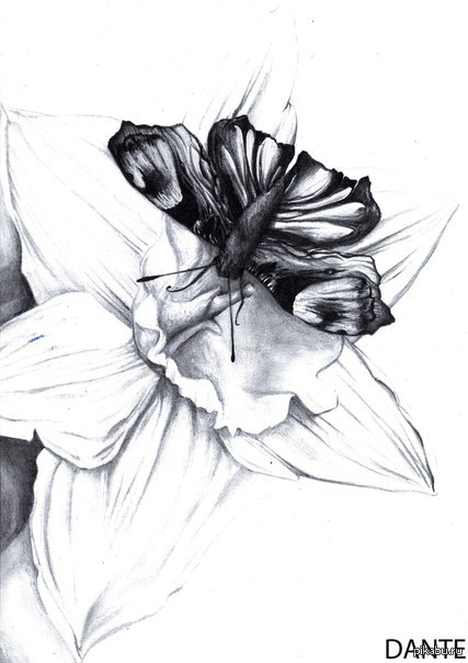 ��� ����� ������� ���� � ��� ���� �� ������ � �����.