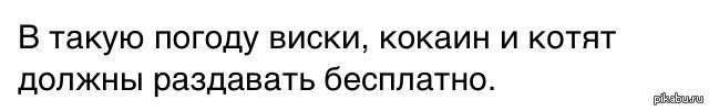 Погода так и шепчет займи и выпей картинки