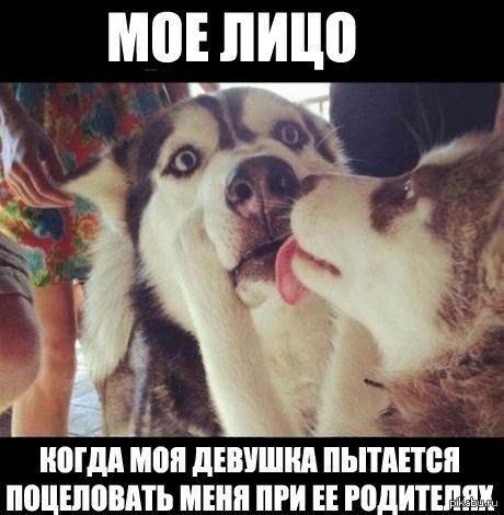  ...    ...