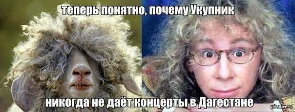 Не женюсь я никогда не женись. Укупник пудель. Аркадий Укупник Мем. Укупник прикол. Аркадий Укупник приколы.