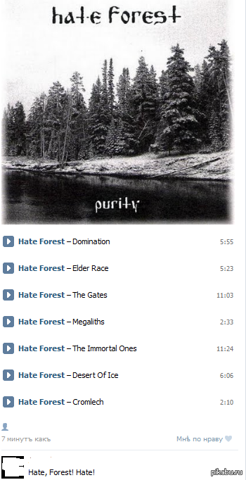 Hate, Forest! Haaate!! 