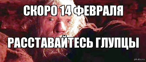 День святого мем. 14 Февраля Мем. Прикольные мемы на 14 февраля. Скоро 14 февраля. 14 Февраля мемы приколы.