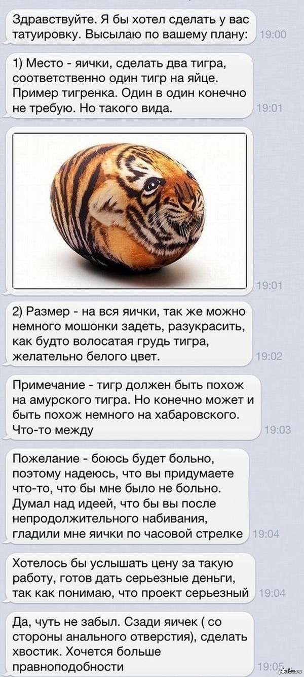 Яйца тигра