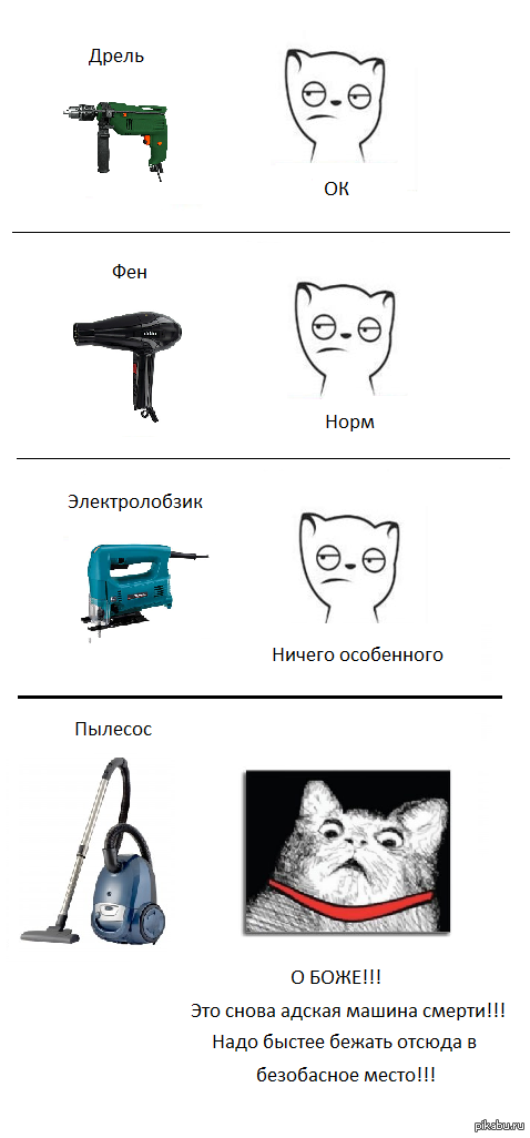 Коты Приколы Мемы